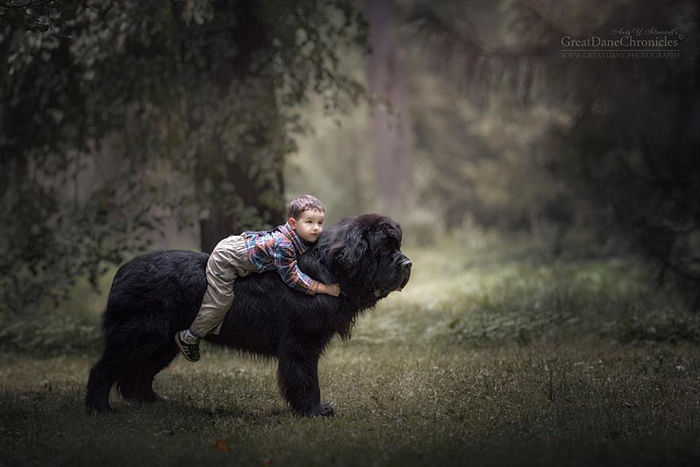Adorable Photos Of Little Kids With Big Dogs