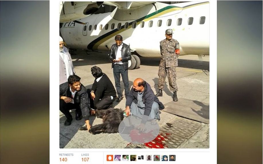 PIA Staff Sacrifice Black Goat plane takes off and twitter says you fools 