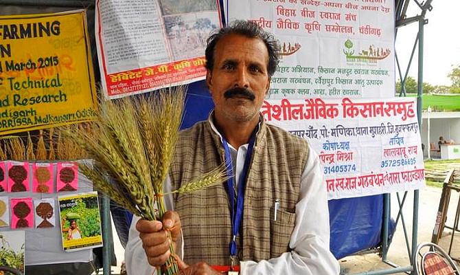 Viral and Trending Farmer Jay Prakash Singh who developed hundreds of varieties of grains 
