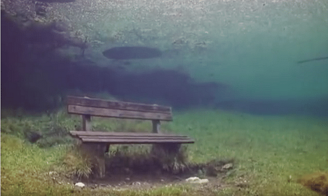 Viral and Trending Video of Green lake Austria and a park which floods in every summer