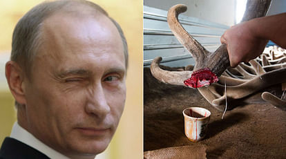  Vladimir Putin takes bath in BLOOD extracted from deer antlers, He does many more things