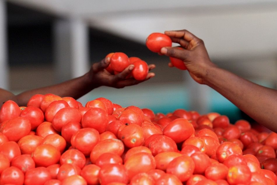 Satire on Tomato price hike in Indian Market reference of Women's Cricket World Cup