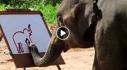 Elephant draws painting like human video breaking the Internet