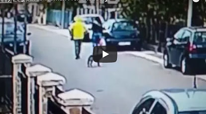 Stray Dog Saves Woman From Robbery, Watch Video