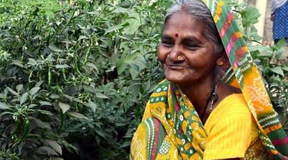  Old and Blind Women earning their bread and butter by gardening 