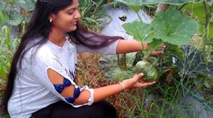 Story of Female Farmer Vallari Chandrakar will Inspire to Millions of People