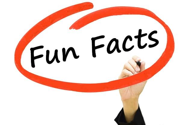 amazing and fun facts may be you do not know