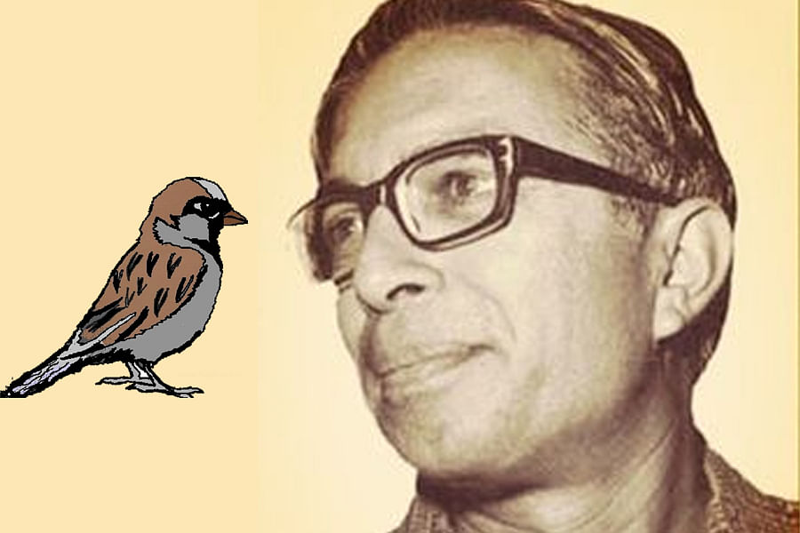 sharad joshi satire poet officer and bird