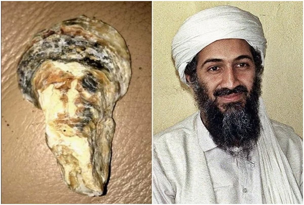 women find a shell who looks like osama bin laden face