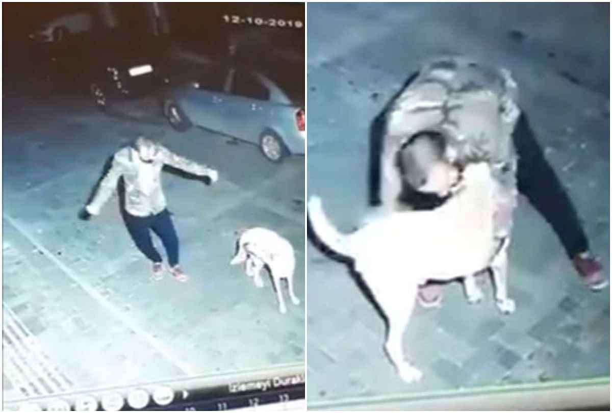 viral video of man dances with stray in middle of road