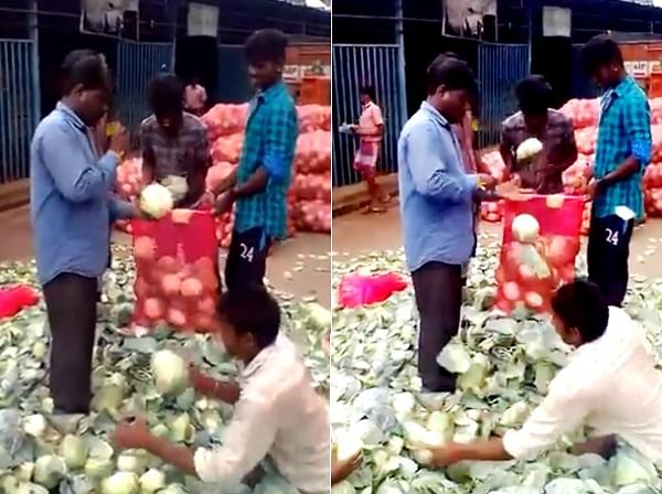 Viral video of team work labours are giving competition to the machine