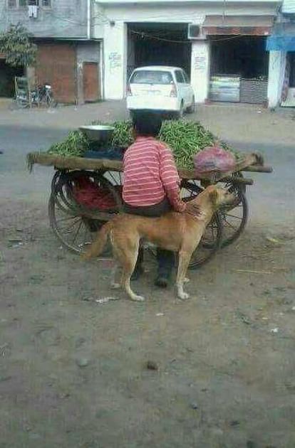 some funny creative desi jugaad photos makes your day