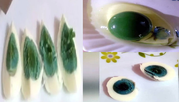 green yolk egg laid by kerla chick scientist where shock to see it