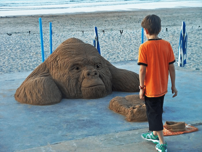 Sand artist makes amazingly sculptures of animal from sand