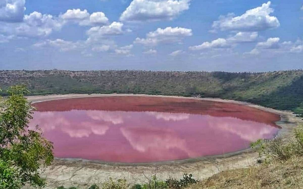 maharashtra Lonar lake turns red