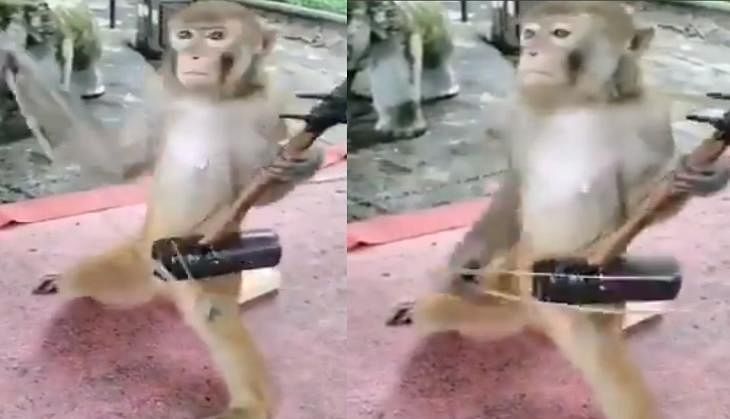 viral video of monkey who playing melodies music from ektara people did hilarious comment on it