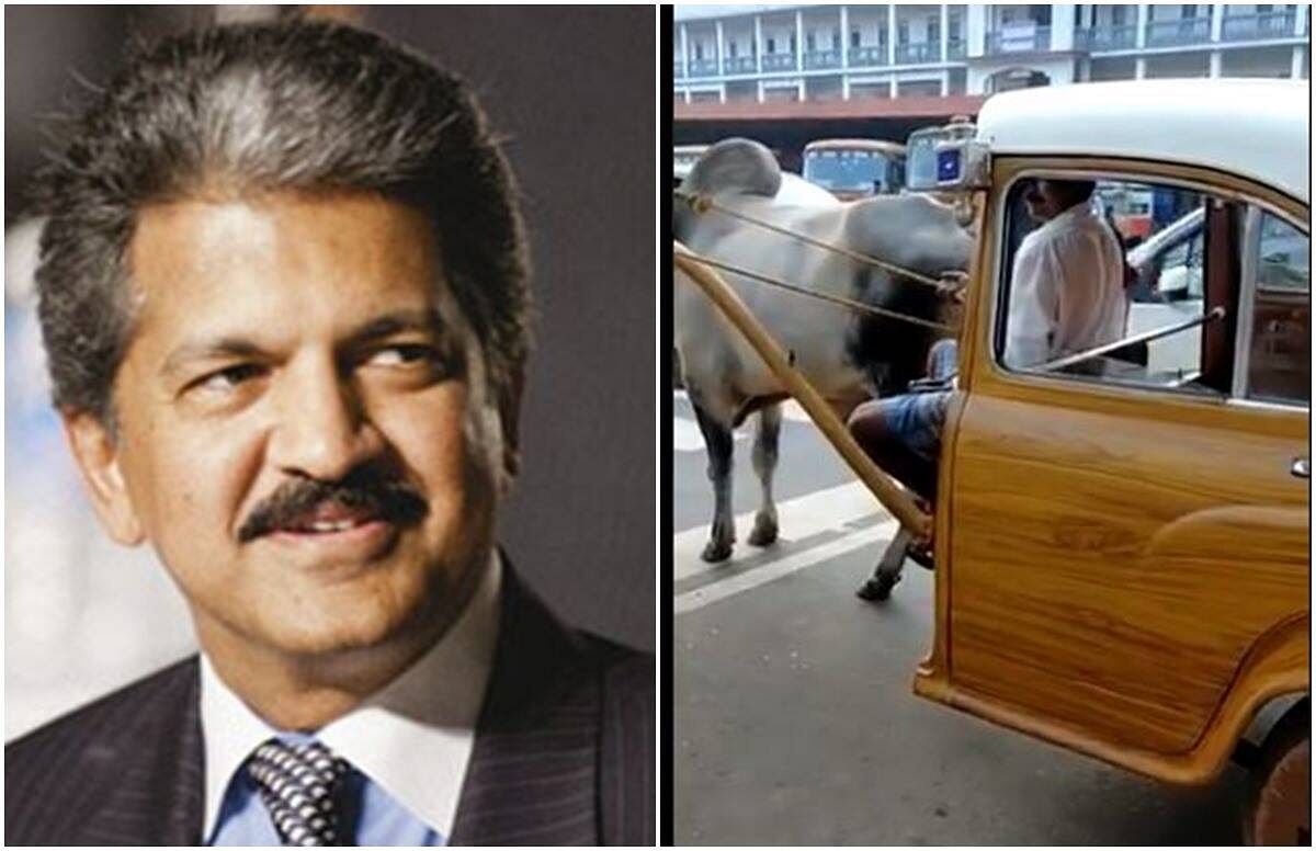 viral video of bullock cart with car cabin people did hilarious comment on it