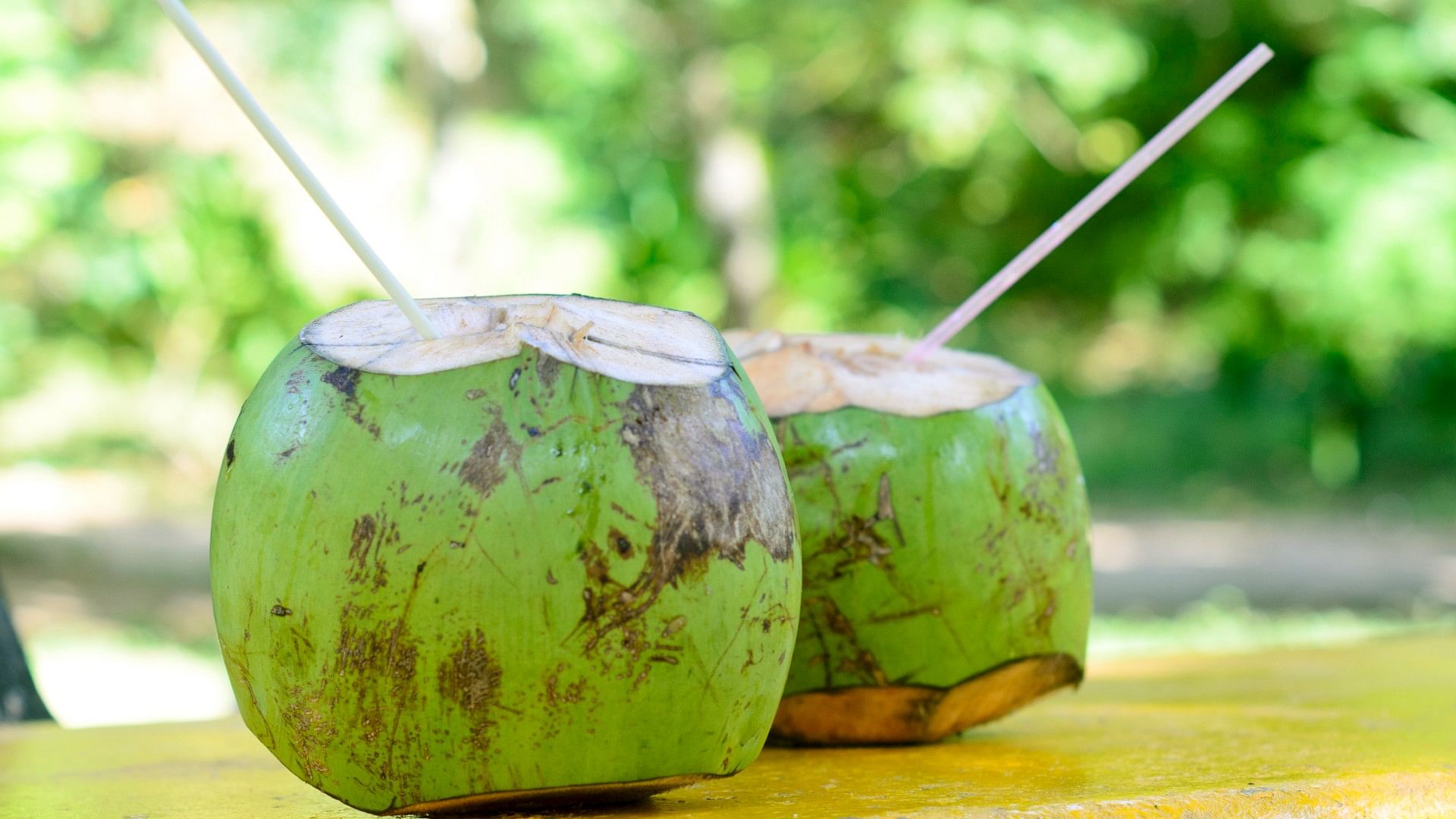 Drinking coconut water benefit or harm in diabetes know how it affects blood sugar