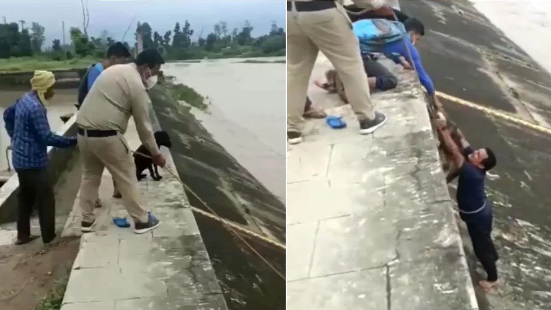 Man saved dogs Life by risking his life video went viral on social media