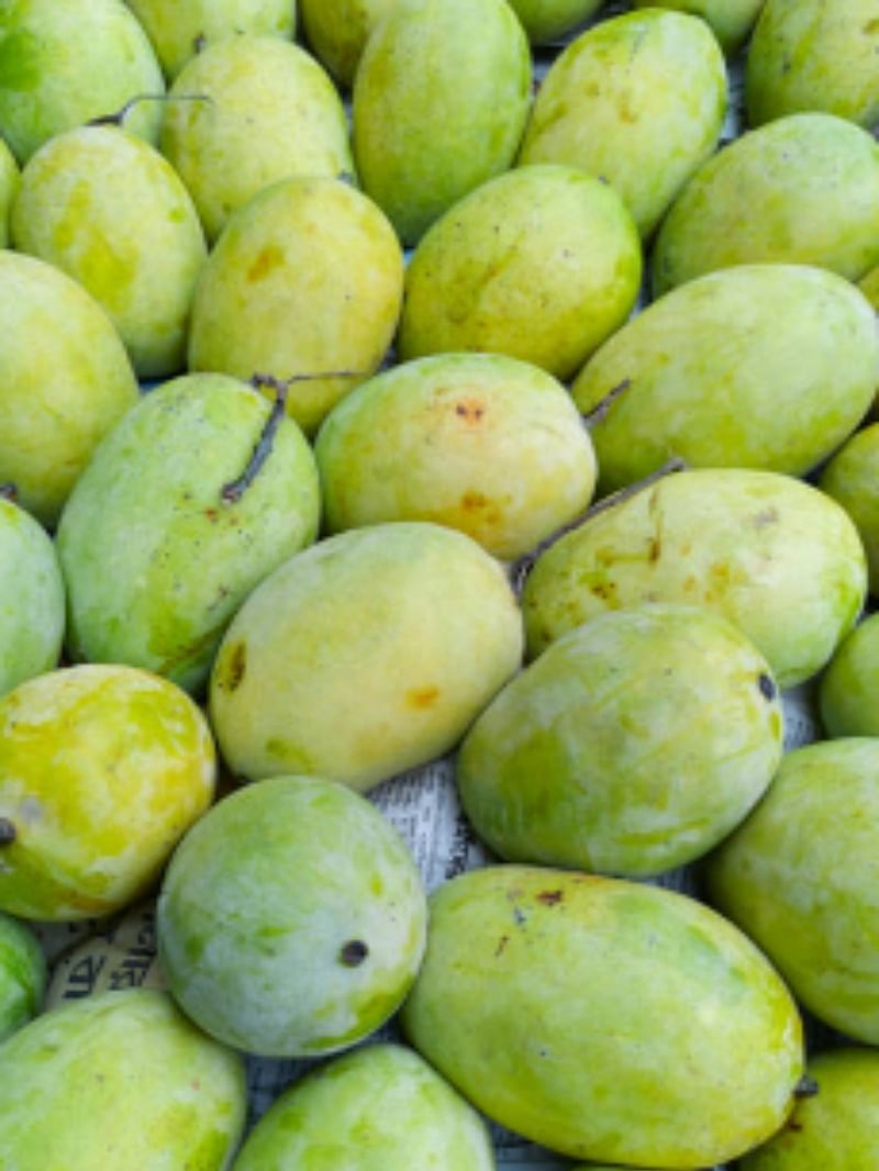 banarasi langra mango name history know interesting facts in hindi