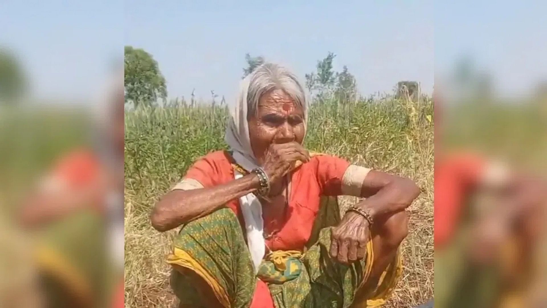 Viral Song: old woman working in field singing baharon phool barsao song video viral