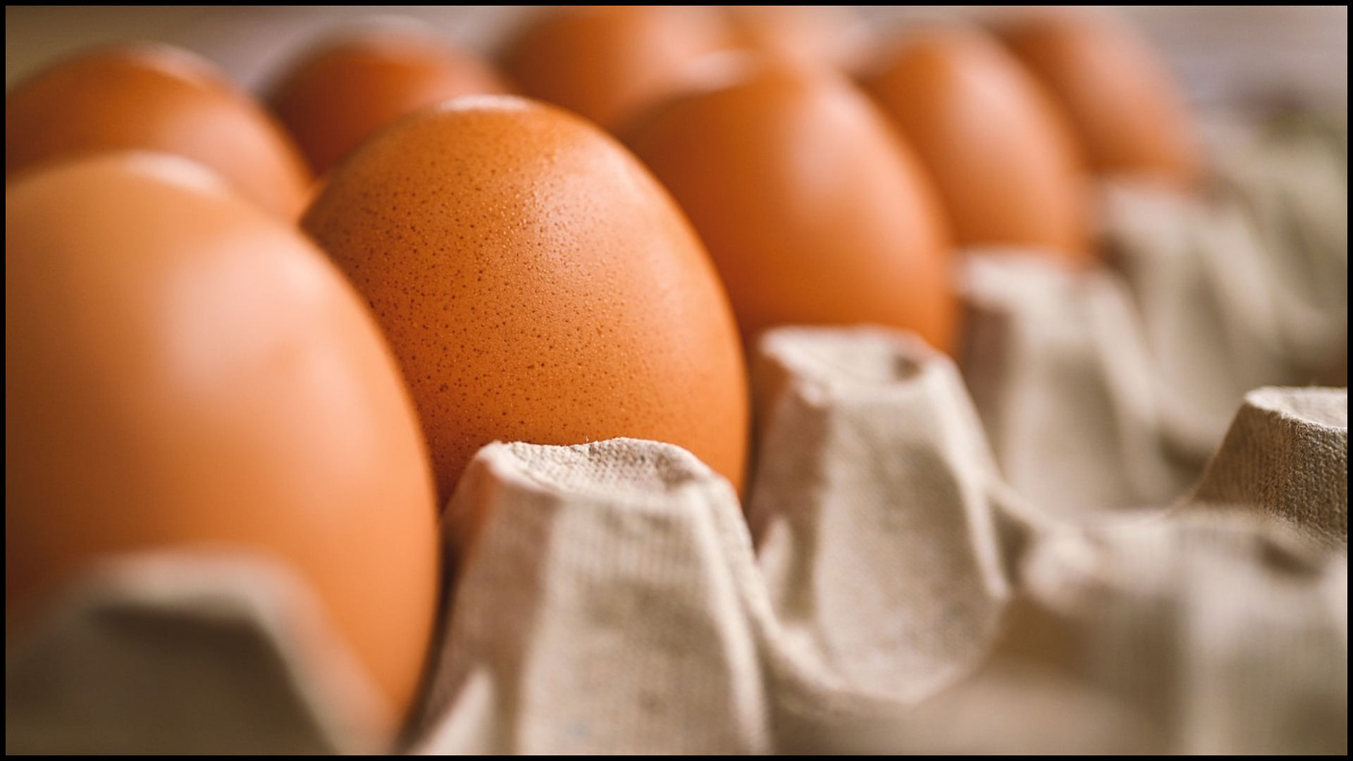 Egg fraud case bengaluru woman tried to buy 4 dozen eggs at rs 49 only to get scammed for a whopping rs 48000