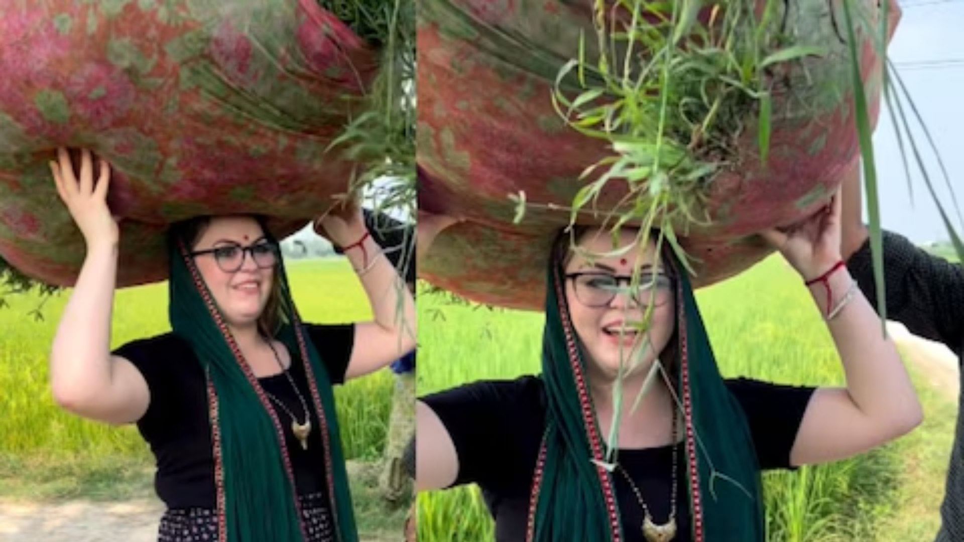 Viral Video: australian woman lifts grass bundle on head in haryana video goes viral people shocked
