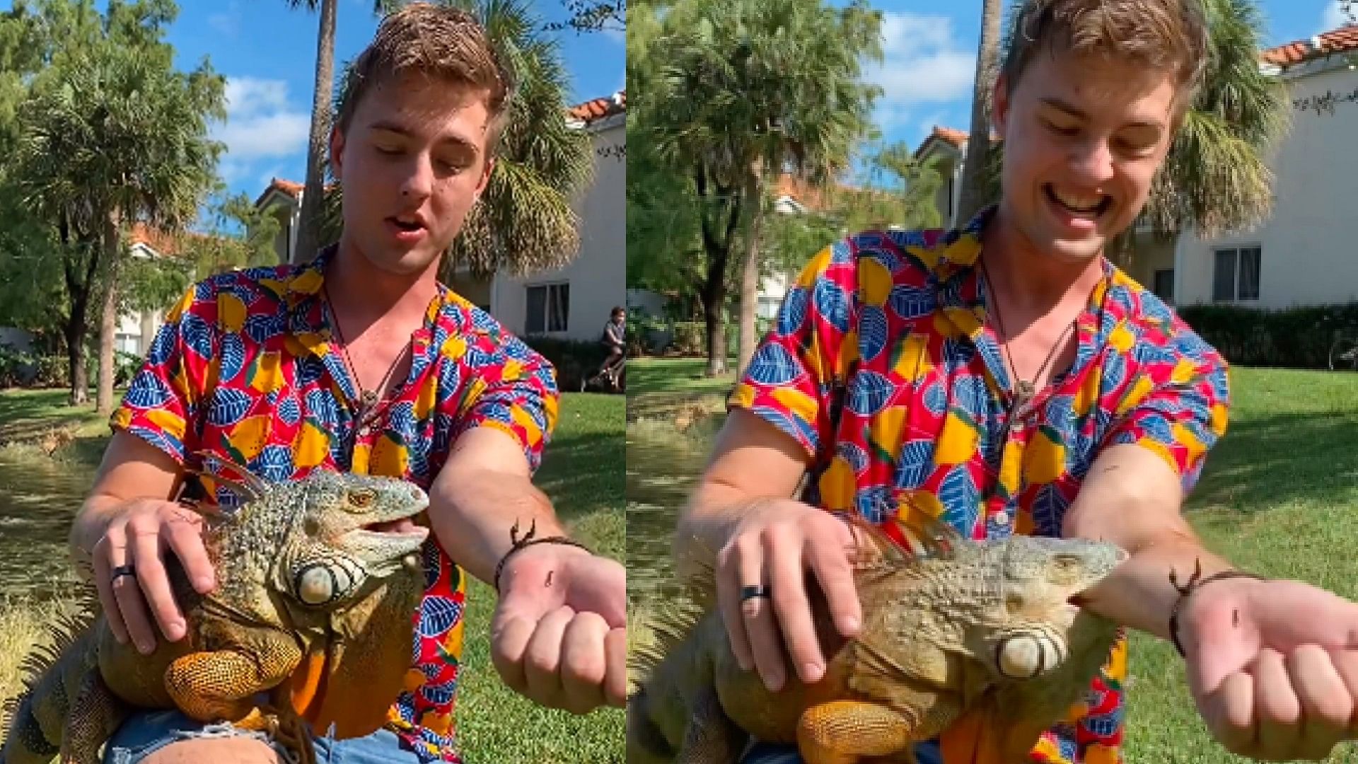 Blogger Hold Iguana In Arms And Latter Grabbed And Bit His Hand Watch Viral Video