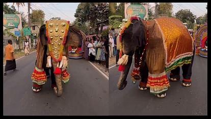 रजनीकांत के गाने पर नाचता हाथी