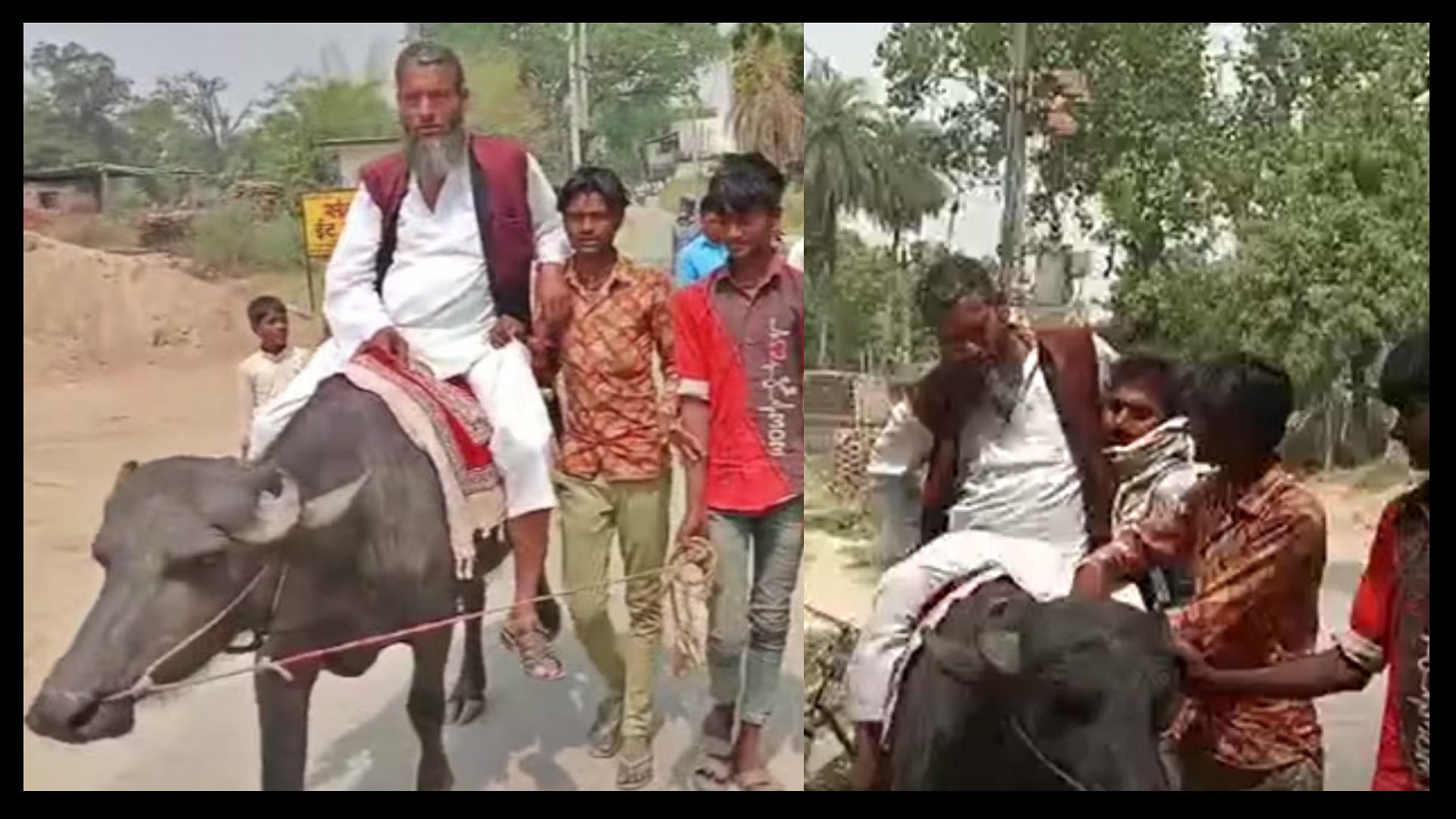 Lok sabha election 2024 netaji arrived to file nomination sitting on buffalo viral video