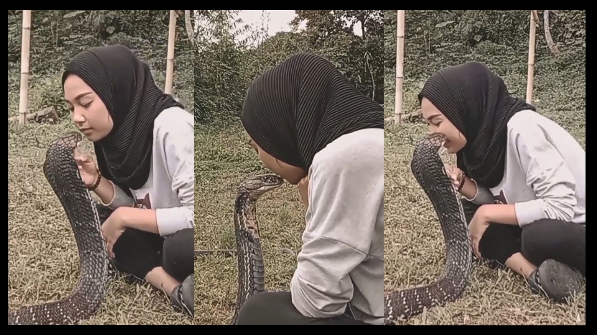 Girl seen kissing King Cobra people shocked video viral on social media