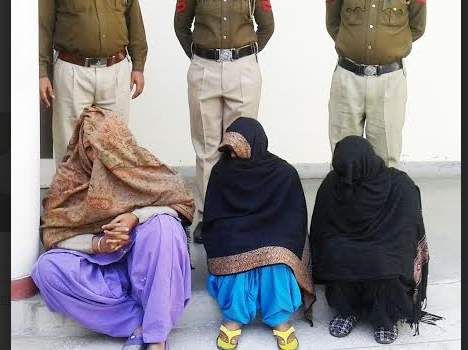 Sex Racket Busted In Congress
