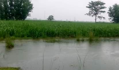 बरसात में शहर बना ताल तलैया mansoon