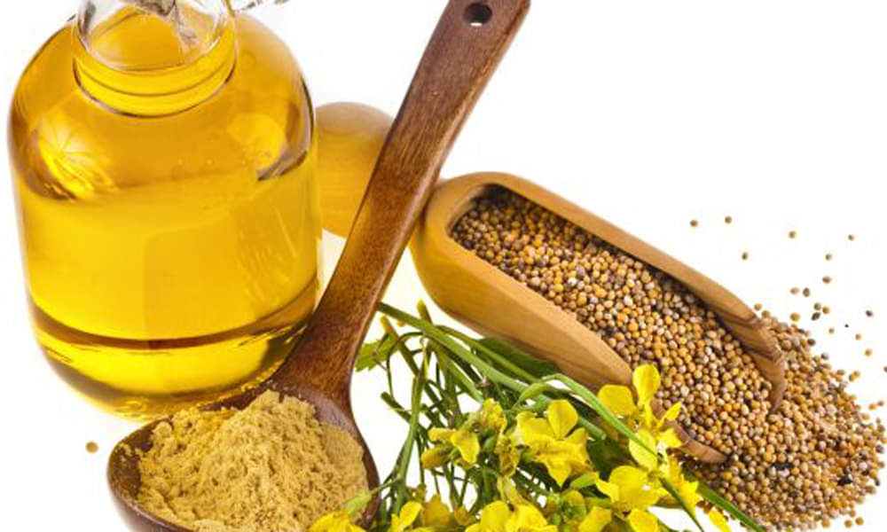 दिल के लिए काफी फायदेमंद है सरसों का तेल, जानें और भी कई छुपी खूबियां surprising health benefits of mustard oil