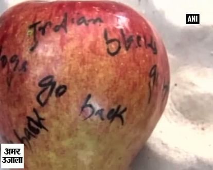 सेब पर लिखा मिला इंडिया गो बैक