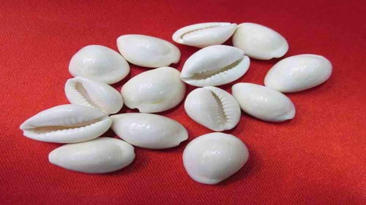 Sharad Purnima 2020: इन उपायों करने से होगी मां लक्ष्मी की कृपा, धन-धान्य से भरा रहेगा आपका घर sharad purnima 2020  measures to get the blessings of goddess Lakshmi