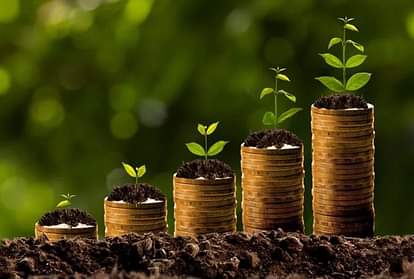 Vastu Tips for money: इन पौधों को घर में लगाने से होने लगती है धन वृद्धि, चमक जाती है किस्मत vastu tips to get money Planting these plants at home brings wealth good luck prosperity and happiness in your life
