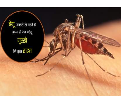 डेंगू के मच्छर आपको छू भी नहीं सकते, बस रखें इन 8 बातों का ध्यान Avoid Getting Bitten by Dengue malaria Mosquitoes