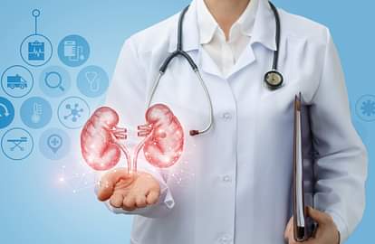 Kidney Health Tips: इन आदतों के कारण किडनी को हो सकता है नुकसान, स्वस्थ रहने के लिए न करें ये गलतियां Kidney Health Tips Avoid These Bad Habits Damage Your Kidney Side Effects in Hindi