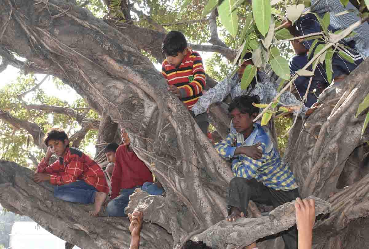 PHOTOS: किसानों और पुलिस के बीच दूसरे दिन भी खूनी संघर्ष, ट्रांसगंगा सिटी में आगजनी, छावनी बना गांव in unnao Bloody conflict between farmers and police on second day too