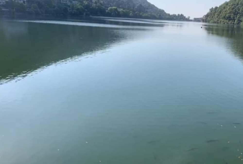 नैनीताल: लॉकडाउन से नैनी झील का पानी हुआ इतना साफ कि दिखने लगी 20 फीट गहराई तक की मछलियां, तस्वीरें... Lockdown Uttarakhand: Naini Lake water Very clean, Fishes see even 20 feet down in water