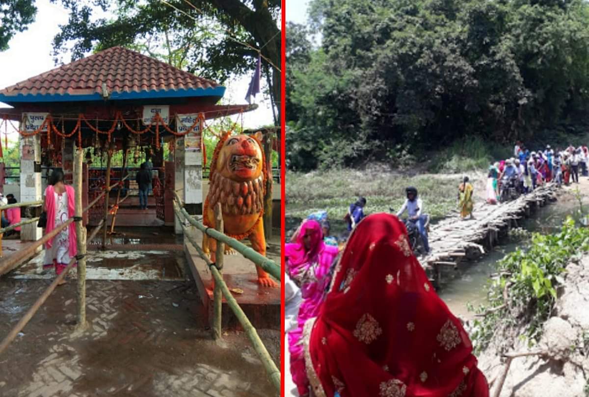 इस जंगल के बीच में स्थापित है ये खास मंदिर, इसकी कहानी जानकर हैरान रह जाएंगे आप story of Madanpur Devi temple in Valmiki Tiger Reserve forest Kushinagar