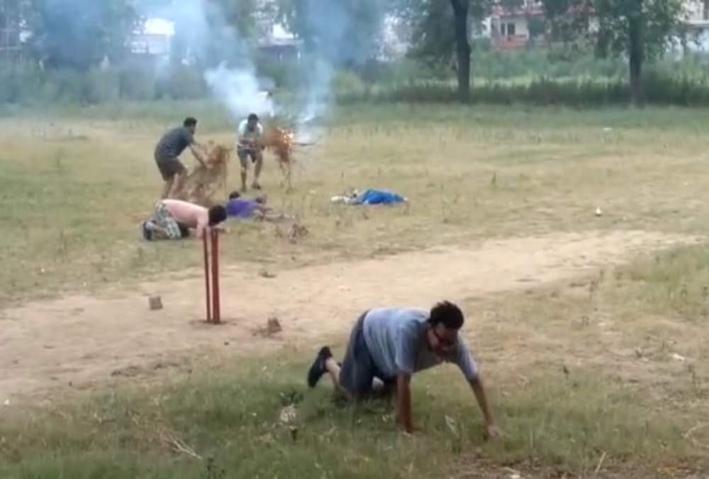 क्रिकेट खेल रहे युवकों पर मधुमक्खियों ने बोला हमला, इसके बाद वहां जो हुआ तस्वीरों में देखिए... Bees Attack on Many youth during playing cricket in Roorkee, See Photos