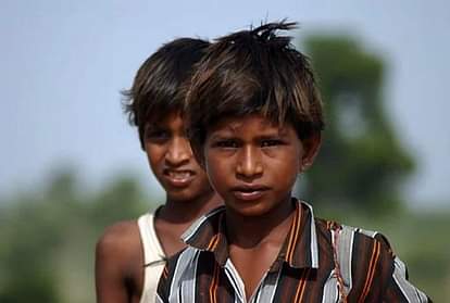 काम की बात : बड़ा आसान है EWS सर्टिफिकेट को बनवाना, जानिए क्या है प्रोसेस EWS registration process How to make EWS certificate know the process