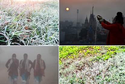 47 साल में दूसरी बार जमा हरियाणा, हिसार में तापमान -1.2 डिग्री, देखें प्रचंड ठंड की तस्वीरें Haryana Weather Update: Hisar Records -1.2 degrees Celsius Temperature