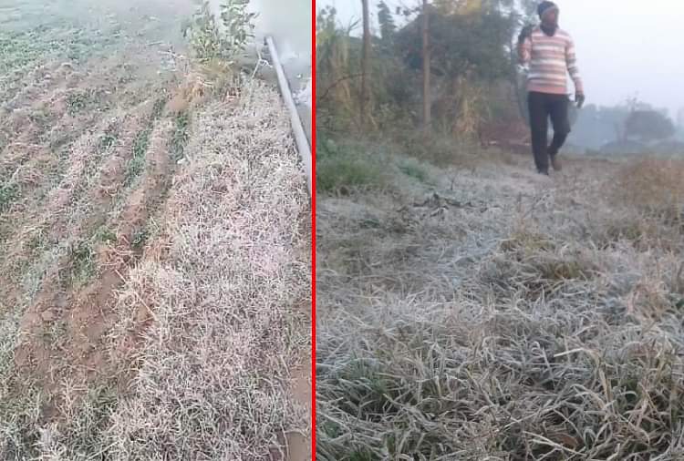 47 साल में दूसरी बार जमा हरियाणा, हिसार में तापमान -1.2 डिग्री, देखें प्रचंड ठंड की तस्वीरें Haryana Weather Update: Hisar Records -1.2 degrees Celsius Temperature