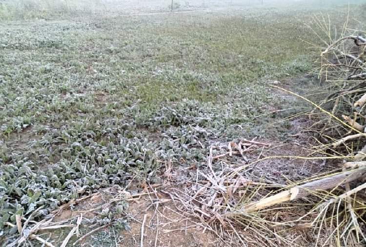 47 साल में दूसरी बार जमा हरियाणा, हिसार में तापमान -1.2 डिग्री, देखें प्रचंड ठंड की तस्वीरें Haryana Weather Update: Hisar Records -1.2 degrees Celsius Temperature