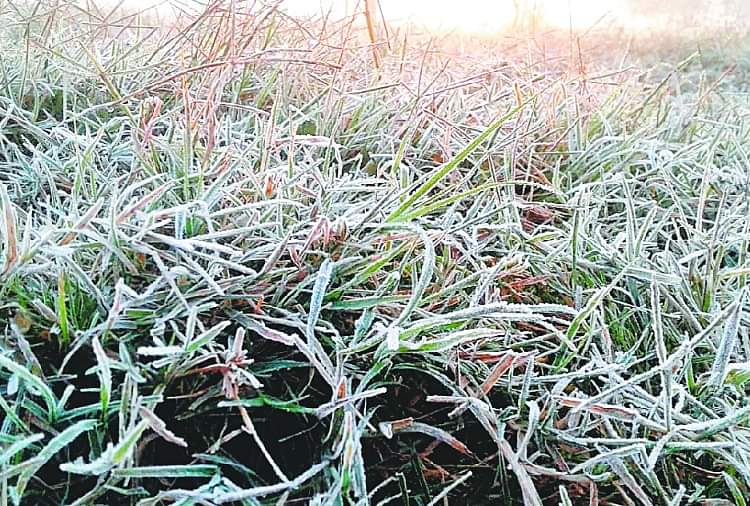 47 साल में दूसरी बार जमा हरियाणा, हिसार में तापमान -1.2 डिग्री, देखें प्रचंड ठंड की तस्वीरें Haryana Weather Update: Hisar Records -1.2 degrees Celsius Temperature