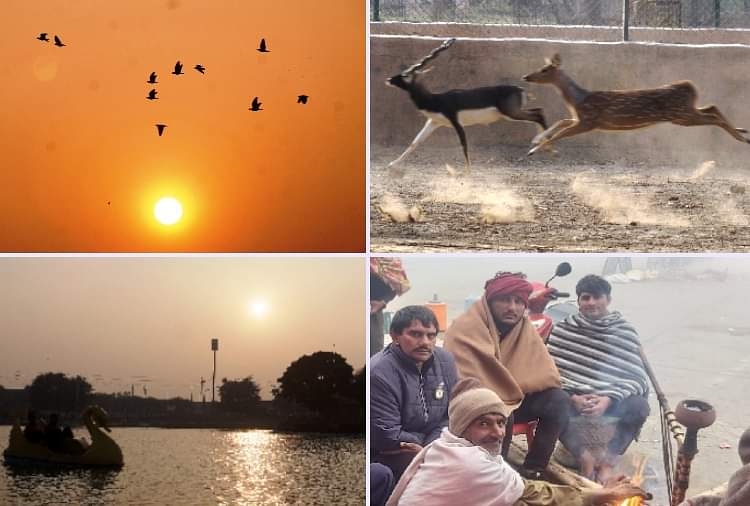 47 साल में दूसरी बार जमा हरियाणा, हिसार में तापमान -1.2 डिग्री, देखें प्रचंड ठंड की तस्वीरें Haryana Weather Update: Hisar Records -1.2 degrees Celsius Temperature