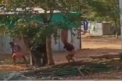 तमिलनाडु: पेड़ से बांध हाथी को डंडे से पीट रहे थे दो महावत, वीडियो वायरल होने पर एक निलंबित Tamil Nadu: Two Mahavats were beating an elephant tied to a tree with a pole, one suspended after video went viral